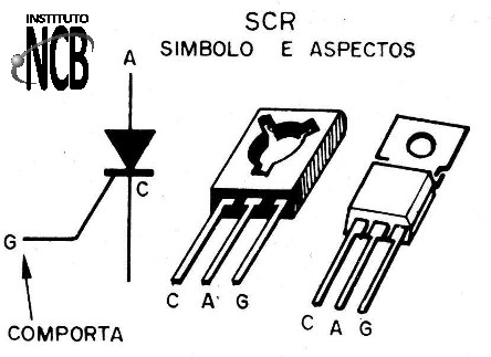 Figura 4 - O SCR
