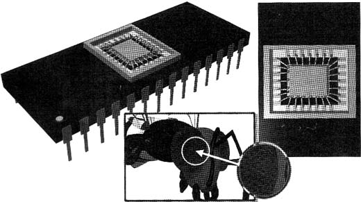 Sensor de transferência de quadro: seu formato se assemelha a uma EPROM.

