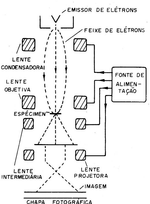 Figura 9 – Estrutura de um microscópio eletrônico

