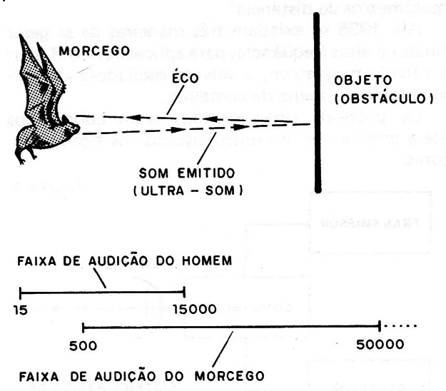 Figura 1 – O sistema de sonar do morcego
