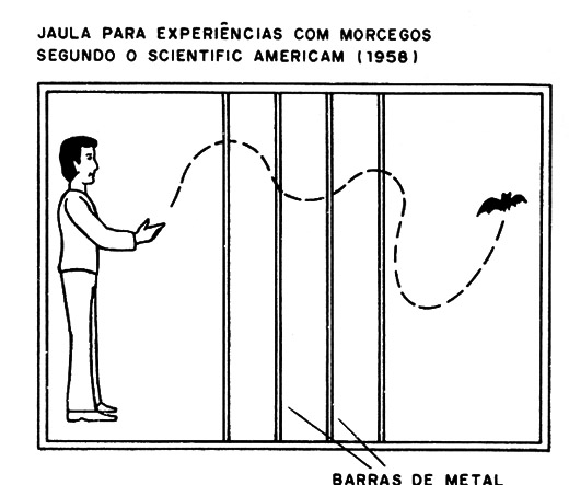 Figura 3 – Experimentando o sonar do morcego
