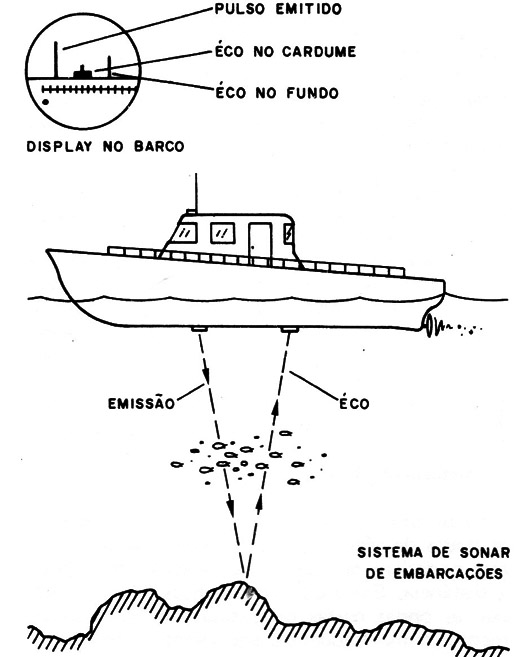 Figura 4 – sonar em embarcações
