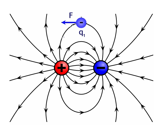  Figura 14 – As cargas se movem ao longo das linhas de força do campo elétrico
