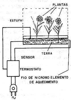 Uso do termostato numa estufa para as plantas 
