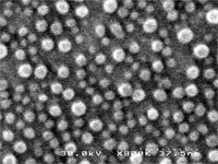 Estrutura da memória de nanocristal de silício da Freescale vista no microscópio eletrônico.
