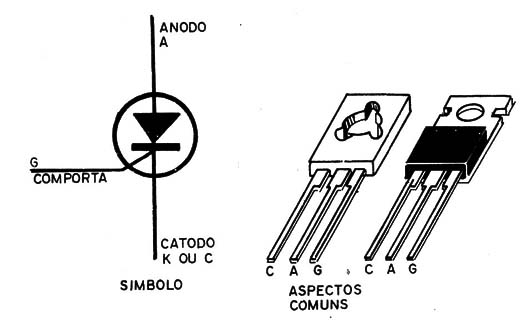 Figura 1 – Símbolo e aspectos

