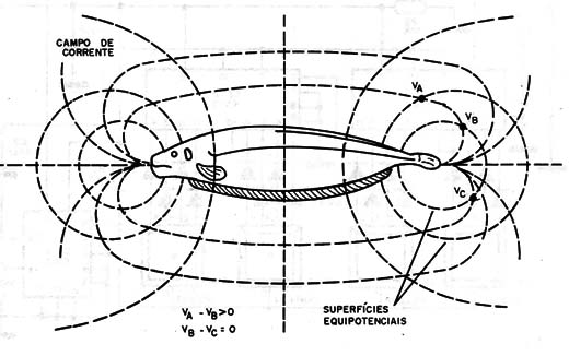 Figura 10 – O campo de correntes
