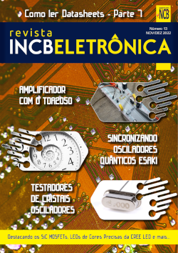 Revista INCB Eletrônica 13