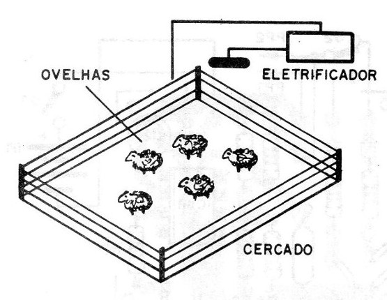 Figura 1 – Usando a aparelho num pasto
