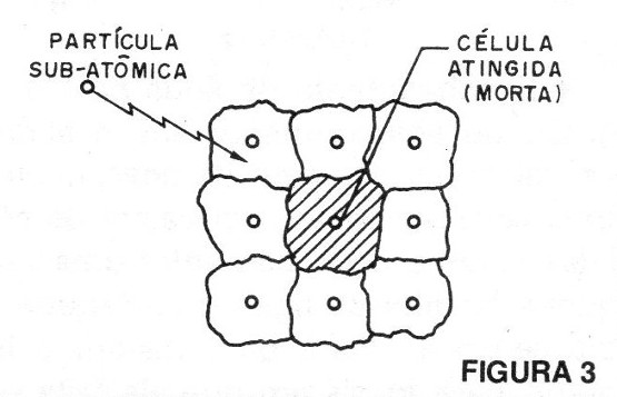 Figura 3 – Destruição das células
