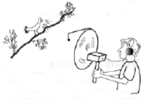 Figura 7 - Usando uma concha parabólica
