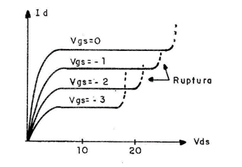 Figura 3
