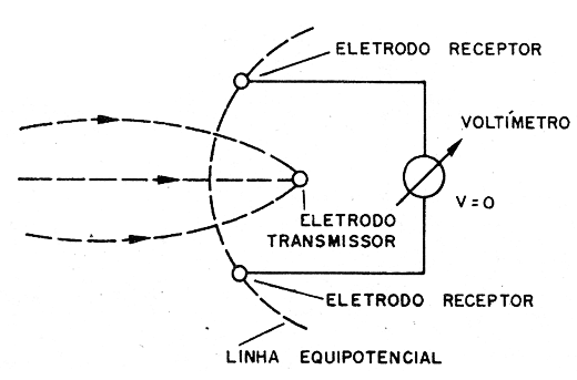 Figura 2- Os eletrodos receptores
