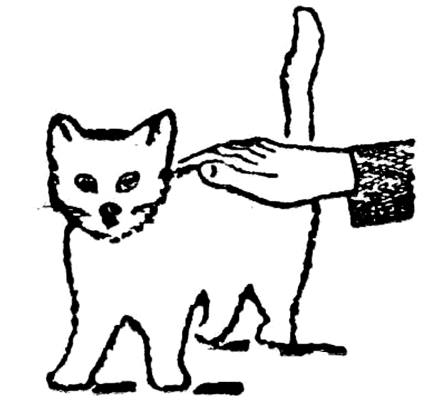 FIG. 2 - O gato eletrizado
FIG. 2 - O gato eletrizado