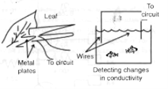 Figura 10 - Usando o detector de mentiras com outros sistemas vivos
Figura 10 - Usando o detector de mentiras com outros sistemas vivos