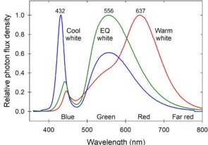 Figura 6 – Os LEDs brancos
