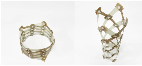  Imagem: Stanford University – Professora Maria Sakovsky – co-inventora da antena
