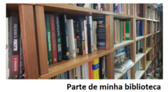 Meus livros