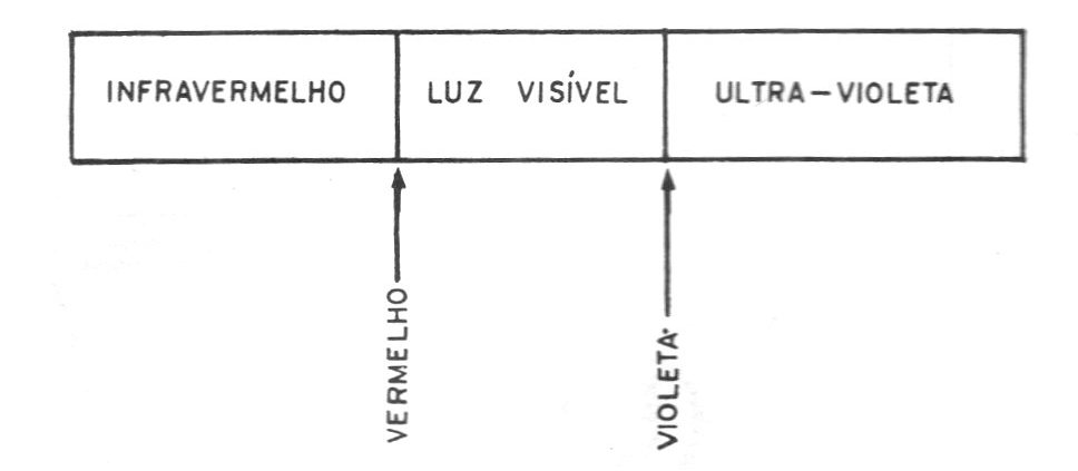 Figura 12 Figura 12