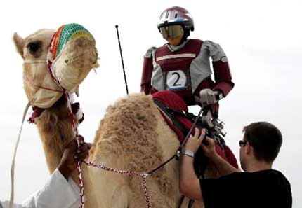 Jóqueis robôs usados em Qatar numa corrida de camelos.